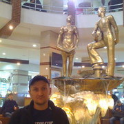 ���������� ������, ���� ������� ���������, 44 ����, ������������ ��� ������, ����� � ���������, c�������� ���������