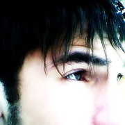  ,   Shamil, 31 ,   ,   , c 