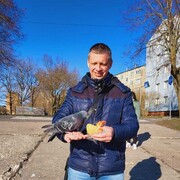  ,   Volshebnikof, 49 ,   ,   , c , 