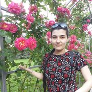  ,   , 33 ,   c , 