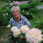 ���������� ������, ���� ������� �����, 56 ���, ������������ ��� ����� � ���������, c�������� ���������