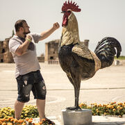 ���������� �������, ���� ������� ��������, 42 ����, ������������ ��� c�������� ���������