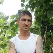  ,   , 53 ,  