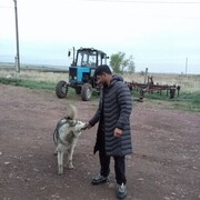  ,  Jamshid, 25