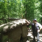 ���������� �����������, ���� ������� ���������, 49 ���, ������������ ��� ������, ����� � ���������, c�������� ���������