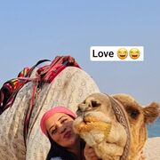 ���������� ������, ���� ������� Ruzan, 102 ����, ������������ 