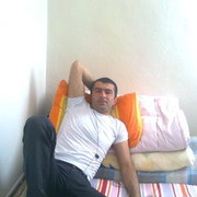  -,   , 41 ,  