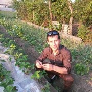 ���������� �����-���������, ���� ������� Vitalik, 37 ���, ������������ ��� ������, ����� � ���������, c�������� ���������