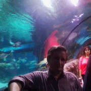 ���������� ������, ���� ������� ���������, 61 ���, ������������ ��� ������