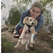 ���������� �����-���������, ���� ������� �����, 54 ����, ������������ ��� ������, ����� � ���������, c�������� ���������, ���������