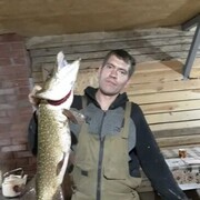  ,  , 41
