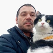  ,   , 38 ,   c 
