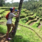  ,   , 36 ,   