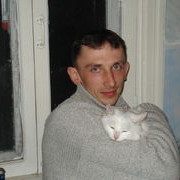  ,  pacan, 43