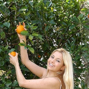 ���������� ������, ���� ������� ���������, 36 ���, ������������ ��� ���������