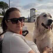 ���������� �����������, ���� ������� ������, 44 ����, ������������ ��� ������, ����� � ���������, c�������� ���������