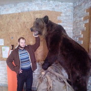 ���������� ������-��-����, ���� ������� �������, 35 ���, ������������ ��� ������, ����� � ���������, c�������� ���������