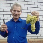  ,   , 61 ,  