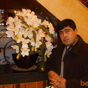  ,   , 43 ,   