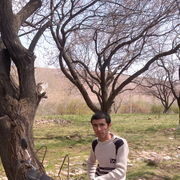 ,   Alisher, 38 ,   ,   , c 