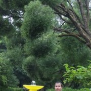 ���������� �����-���������, ���� ������� ������, 37 ���, ������������ ��� ������