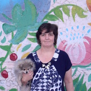 ���������� ������ ���, ���� ������� �������, 56 ���, ������������ ��� ������, ����� � ���������, c�������� ���������