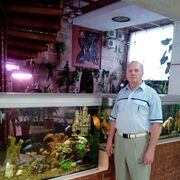  ,   , 66 ,   ,   , c , 