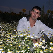  ,   Aleks1977, 48 ,   