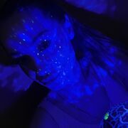  Aleshtar,  , 29
