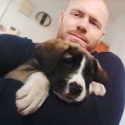 ���������� ����, ���� ������� ������, 37 ���, ������������ ��� ������, ����� � ���������, c�������� ���������, ���������