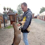 ���������� �������, ���� ������� ���������, 28 ���, ������������ ��� c�������� ���������, ���������