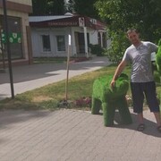 ���������� �����, ���� ������� ��������, 43 ����, ������������ ��� ������, ����� � ���������