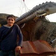  ,   , 46 ,   ,   , c 