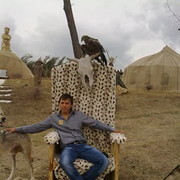  ,   Mitruha84, 41 ,     , c , 
