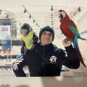  ,   , 71 ,   ,   , c , 