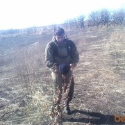  ,   , 43 ,  