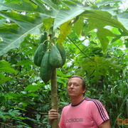 ���������� �����������, ���� ������� �����, 49 ���, ������������ ��� ������, ����� � ���������, c�������� ���������