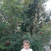  ,   , 37 ,   ,   , c , 