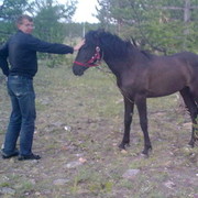 ���������� �������, ���� ������� ������, 45 ���, ������������ ��� ������, ����� � ���������, c�������� ���������