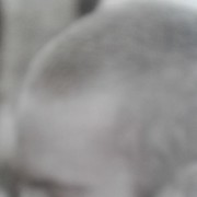  ,   , 60 ,   ,   , c 