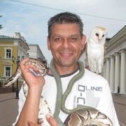  ,   , 50 ,   ,   , c , 