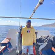 ���������� ������, ���� ������� ������, 41 ���, ������������ ��� ����� � ���������, c�������� ���������