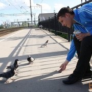 ���������� �����-���������, ���� ������� ��������, 36 ���, ������������ ��� ������