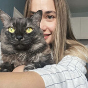 ���������� ������, ���� ������� ��������, 23 ����, ������������ ��� ������, ����� � ���������