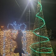 ,   , 44 ,   c 