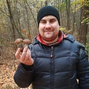  ,   , 37 ,  