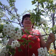 ���������� ��������, ���� ������� Alena, 63 ����, ������������ ��� ������, ����� � ���������, c�������� ���������