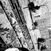 ���������� ���������, ���� ������� ������, 41 ���, ������������ ��� ������, ����� � ���������, c�������� ���������