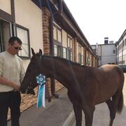 ���������� �������, ���� ������� ������, 53 ����, ������������ ��� c�������� ���������