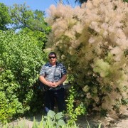 ���������� ���������, ���� ������� ��������, 50 ���, ������������ ��� ������, ����� � ���������, c�������� ���������, ���������